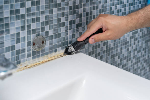 Best Post-Flood Mold Remediation in San Mateo, CA
